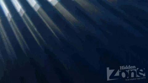 11329