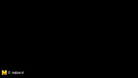 29612